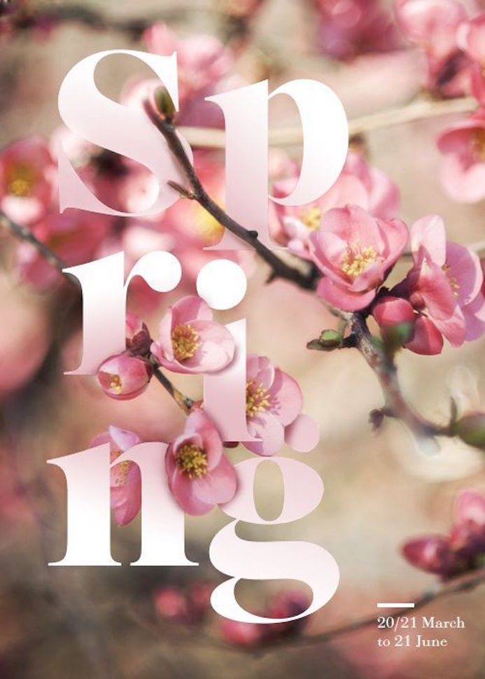spring typography