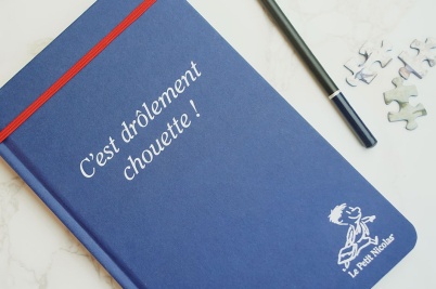 carnets_petit_nicolas04_650277631