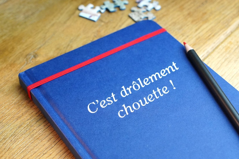 carnets_petit_nicolas06_658131429
