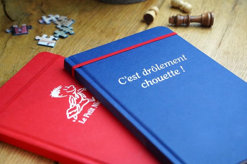 carnets_petit_nicolas07_356040643