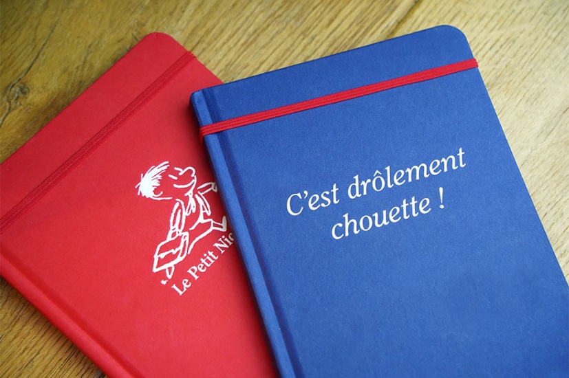 carnets_petit_nicolasrouge08_191288233