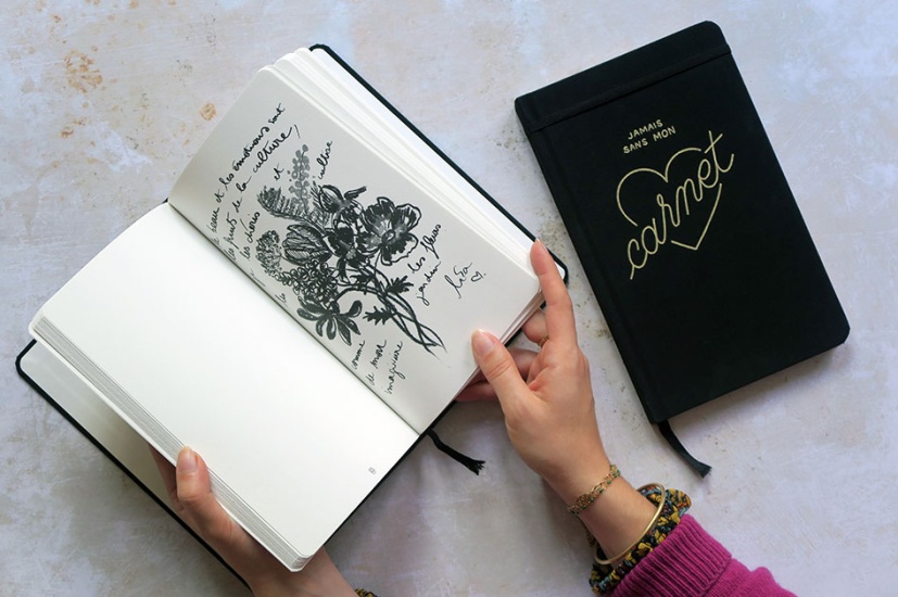 jamais_sans_mon_carnet03_1330253369