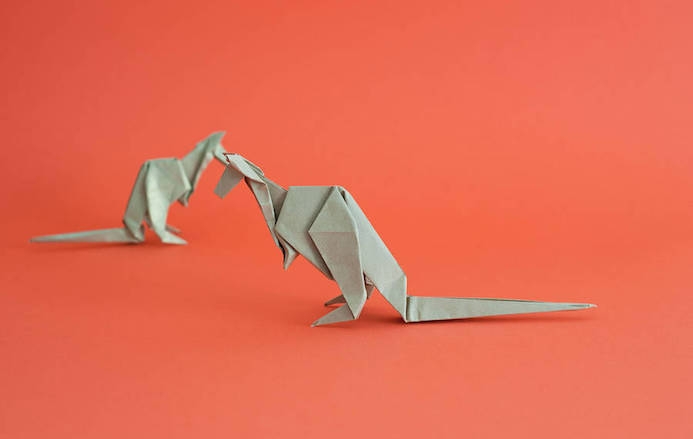 Le Papier aime les Animaux en Origami